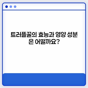 5e87f451ea3fd5de7067c576b6c37163.jpg