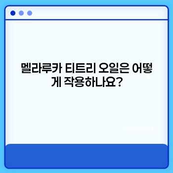 6a947e04c9ce720c3ed366aa75605c2e.jpg