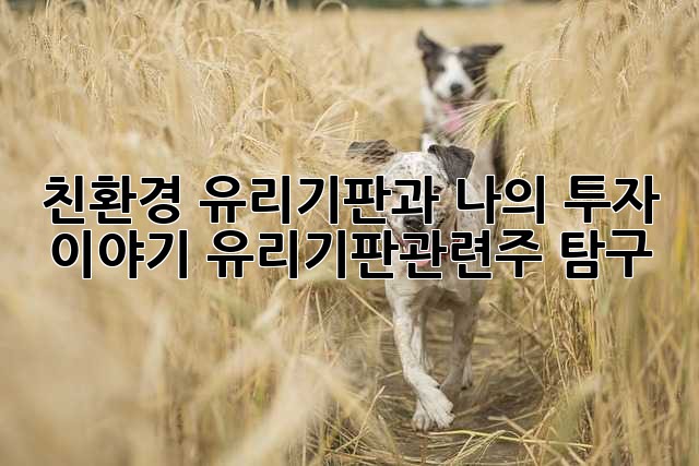 95a1f1e8928202726a08432de65f9b9a.jpg