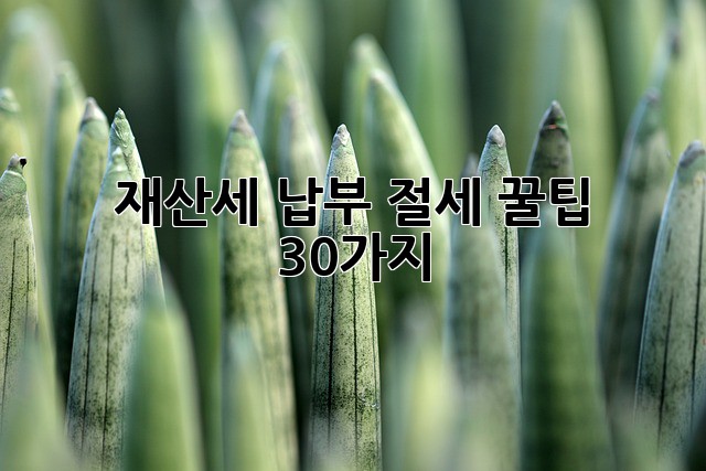 b2a7d9266f3123b9dd3aaf35fe0839bd.jpg