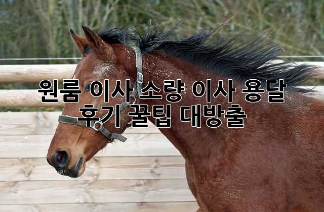 ce6eaa131e63baa42a85344202440844.jpg