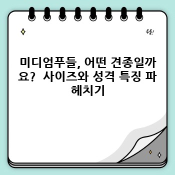 da66c8953996ac789edd45d1b4daa05f.jpg