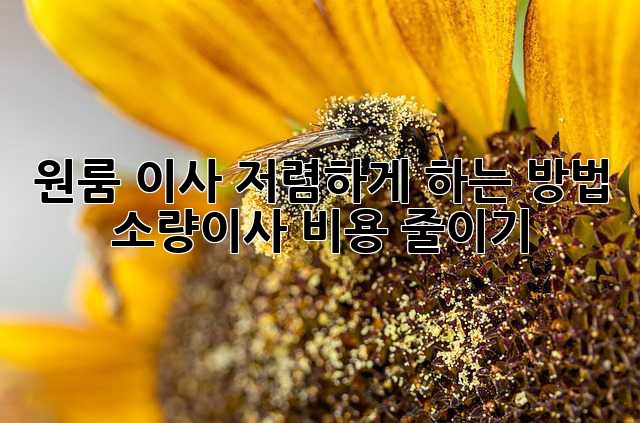 e9916816b1f0ad9b6c0ada565b74f841.jpg