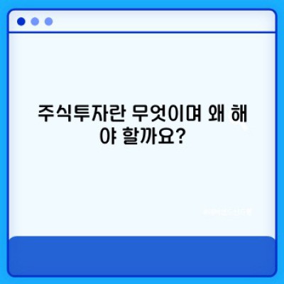 주식투자 성공 전략: 초보 투자자를 위한 완벽 가이드