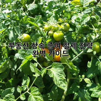 부동산 상속 증여, 절세 전략 완벽 가이드! 💯