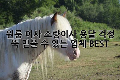 원룸 이사? 소량이사 용달, 걱정 뚝! 믿을 수 있는 업체 BEST