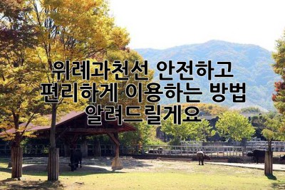 위례과천선, 안전하고 편리하게 이용하는 방법 알려드릴게요! 😉