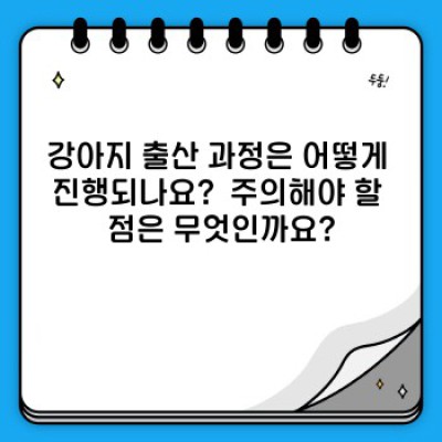 우리 강아지의 행복한 출산, 완벽 가이드: 강아지 출산 과정 A to Z