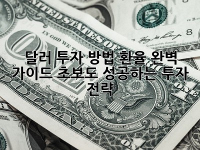 달러 투자 방법 환율 완벽 가이드: 초보도 성공하는 투자 전략!💲