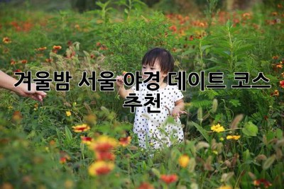겨울밤 서울 야경 데이트 코스 추천 ✨