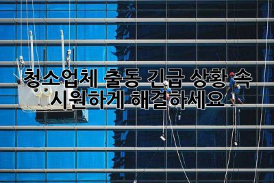 ⚡️청소업체 출동! 긴급 상황, 속 시원하게 해결하세요!