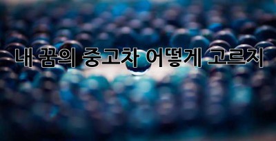 내 꿈의 중고차, 어떻게 고르지? 🤔