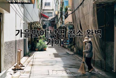 가을맞이 낙엽 청소 완벽 가이드🍂