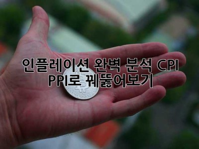 인플레이션 완벽 분석: CPI, PPI로 꿰뚫어보기