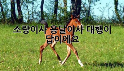 소량이사? 용달이사 대행이 답이에요!