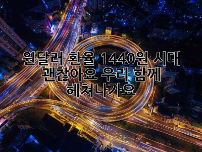 원달러 환율 1440원 시대, 괜찮아요, 우리 함께 헤쳐나가요!