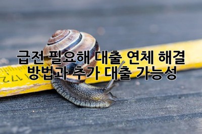 💸 급전 필요해? 대출 연체 해결 방법과 추가 대출 가능성!