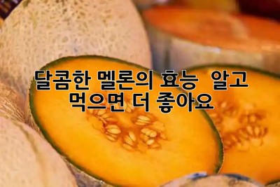 달콤한 멜론의 효능 🍈 알고 먹으면 더 좋아요!