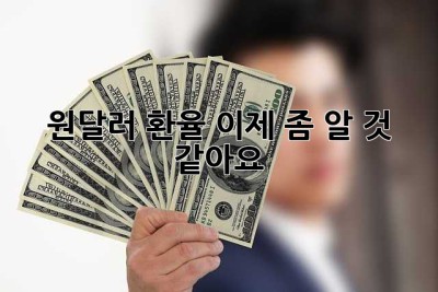 원달러 환율, 이제 좀 알 것 같아요!