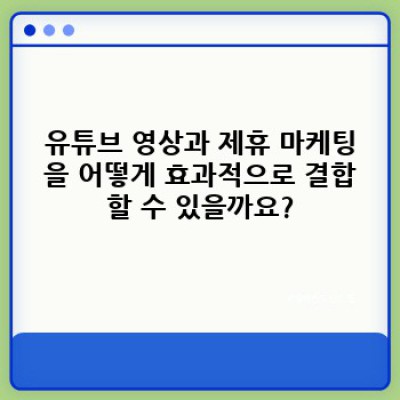 유튜브뷰어 워드프레스 플러그인: 동영상과 제휴 상품 결합 마케팅 최적화 전략