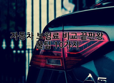 자동차 보험료 비교 끝판왕! 꿀팁 10가지🍯
