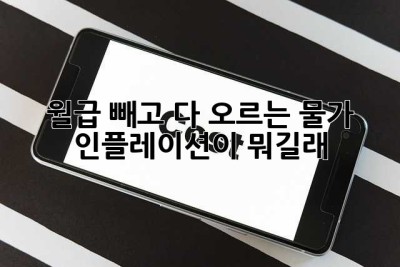 월급 빼고 다 오르는 물가, 인플레이션이 뭐길래? 😭