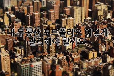 내 부동산 포트폴리오, 어떻게 관리해야 할까요? 🤔