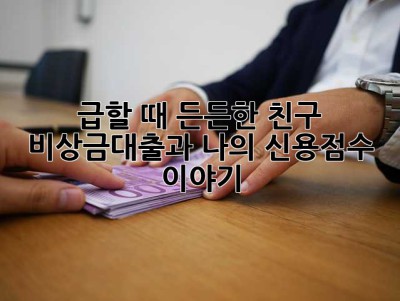 급할 때 든든한 친구? 비상금대출과 나의 신용점수 이야기