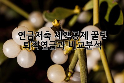 연금저축 세액공제 꿀팁! 퇴직연금과 비교분석! 😎