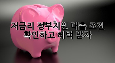 저금리 정부지원 대출 조건 확인하고 혜택 받자! 💯