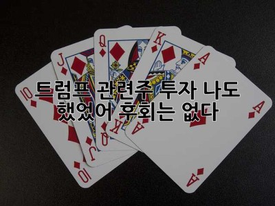 트럼프 관련주 투자? 나도 했었어! 후회는 없다! 😉