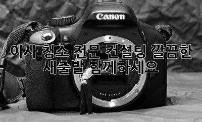 이사 청소 전문 컨설팅: 깔끔한 새출발, 함께하세요!