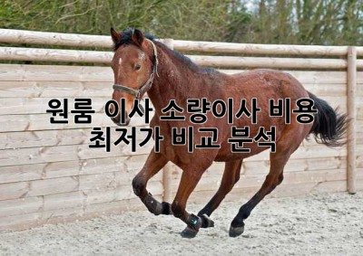 원룸 이사, 소량이사 비용 최저가 비교 분석!