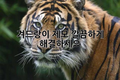 겨드랑이 제모, 깔끔하게 해결하세요!