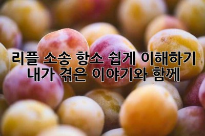 리플 소송 항소, 쉽게 이해하기: 내가 겪은 이야기와 함께