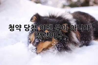 청약 당첨, 이젠 운이 아니라 전략이다!