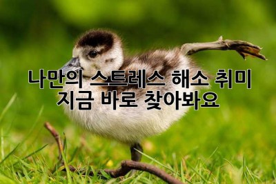 나만의 스트레스 해소 취미, 지금 바로 찾아봐요!