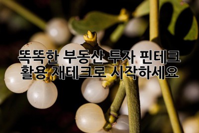 똑똑한 부동산 투자, 핀테크 활용 재테크로 시작하세요! ✨