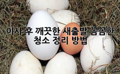 이사 후 깨끗한 새출발! 꼼꼼한 청소 정리 방법