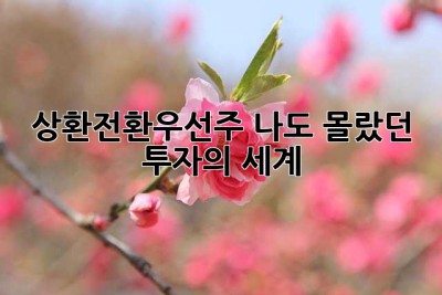 상환전환우선주? 나도 몰랐던 투자의 세계 👀