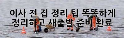 이사 전, 집 정리 팁: 똑똑하게 정리하고, 새출발 준비 완료! ✨