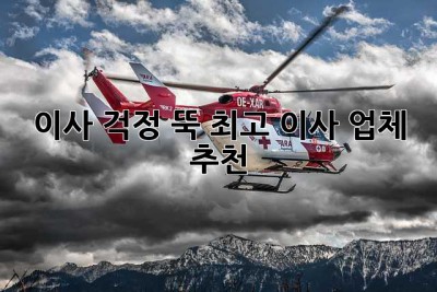 이사, 걱정 뚝! 최고 이사 업체 추천