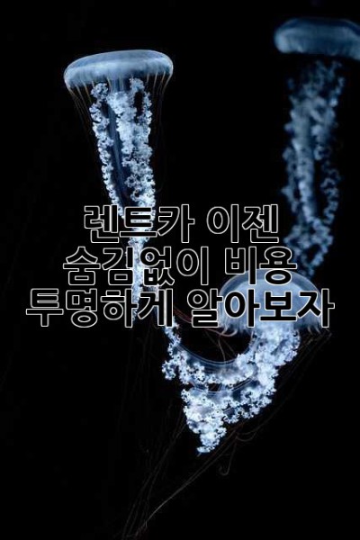 렌트카, 이젠 숨김없이! 비용 투명하게 알아보자!