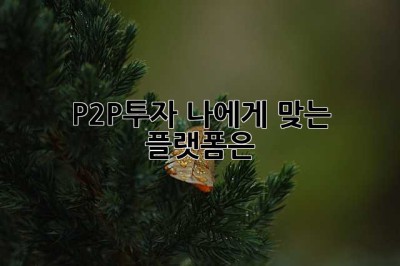 P2P투자, 나에게 맞는 플랫폼은? 🤔