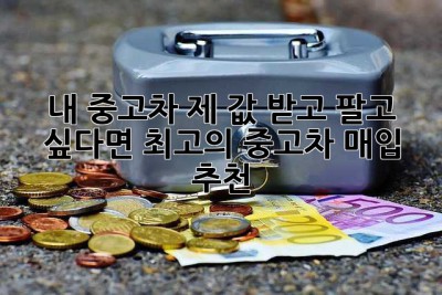 내 중고차, 제 값 받고 팔고 싶다면? 최고의 중고차 매입 추천!