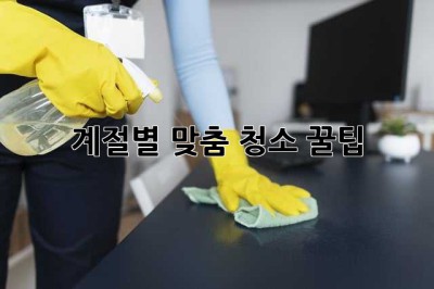 계절별 맞춤 청소 꿀팁! 🏡✨
