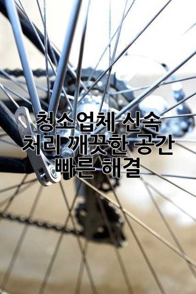 청소업체 신속 처리: 깨끗한 공간, 빠른 해결!