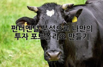 펀더멘털 분석으로 나만의 투자 포트폴리오 만들기 ✨