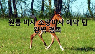 원룸 이사? 소량이사 예약 팁 완벽 정복!