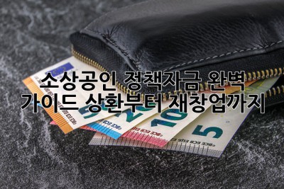 소상공인 정책자금 완벽 가이드: 상환부터 재창업까지! 💯